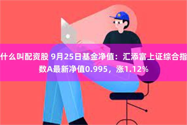 什么叫配资股 9月25日基金净值：汇添富上证综合指数A最新净值0.995，涨1.12%