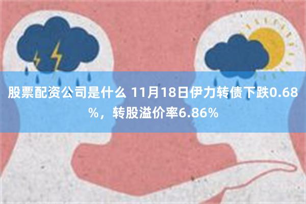 股票配资公司是什么 11月18日伊力转债下跌0.68%，转股溢价率6.86%