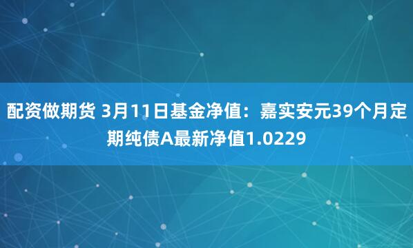 配资做期货 3月11日基金净值：嘉实安元39个月定期纯债A最新净值1.0229