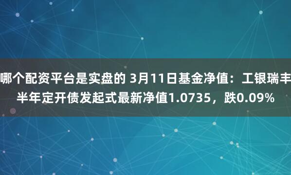 哪个配资平台是实盘的 3月11日基金净值：工银瑞丰半年定开债发起式最新净值1.0735，跌0.09%